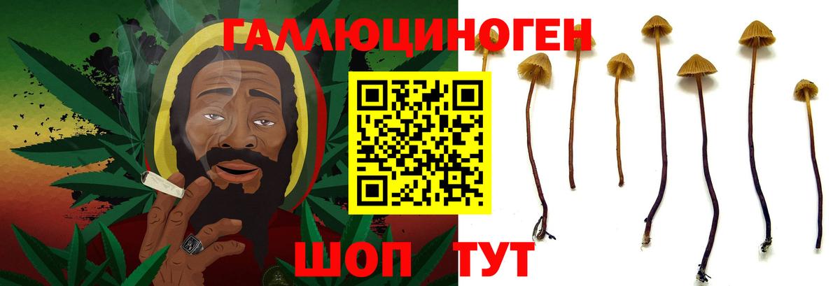 Псилоцибиновые грибы MAGIC MUSHROOMS Прокопьевск